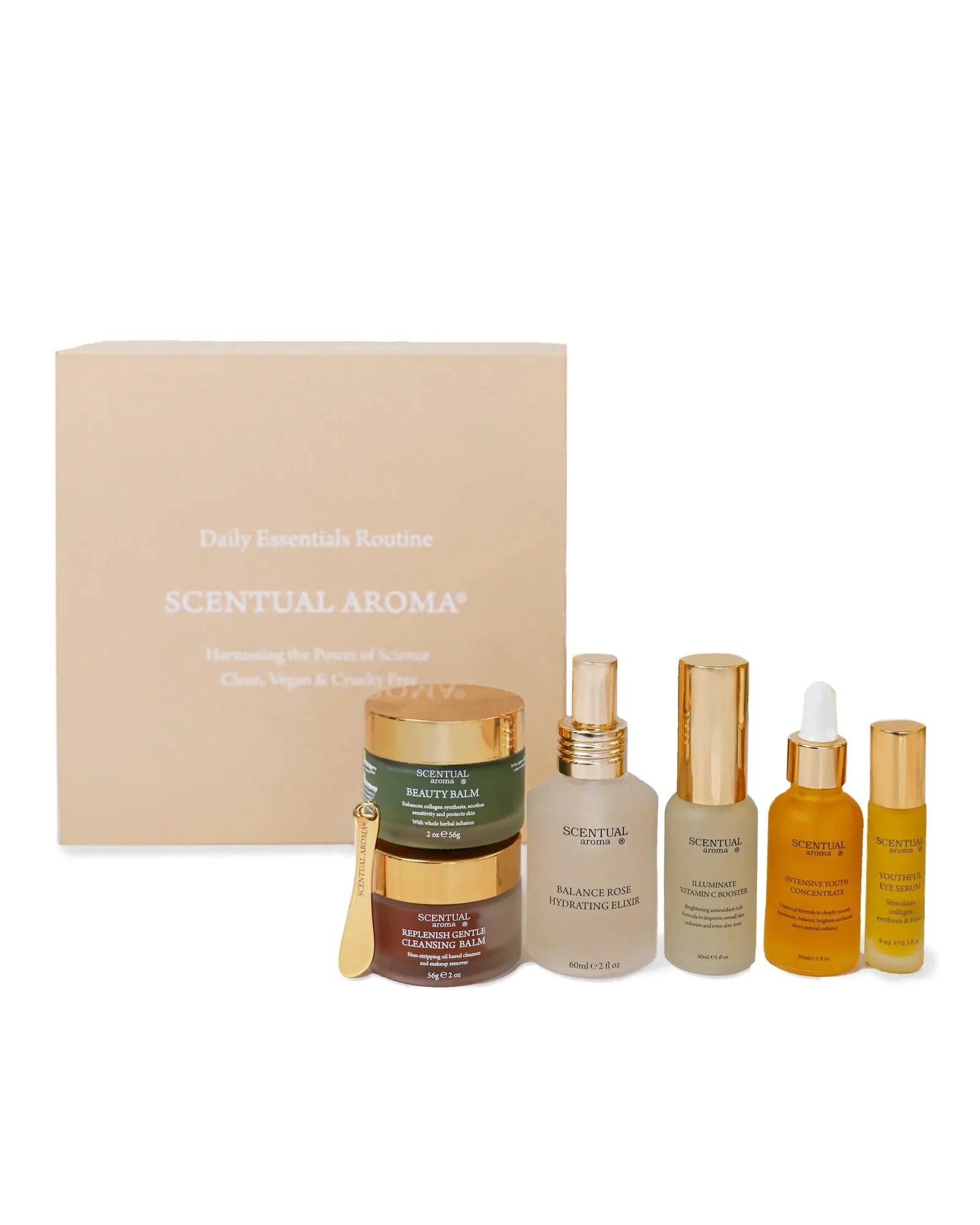 Daily Essentials Routine - Image 4
