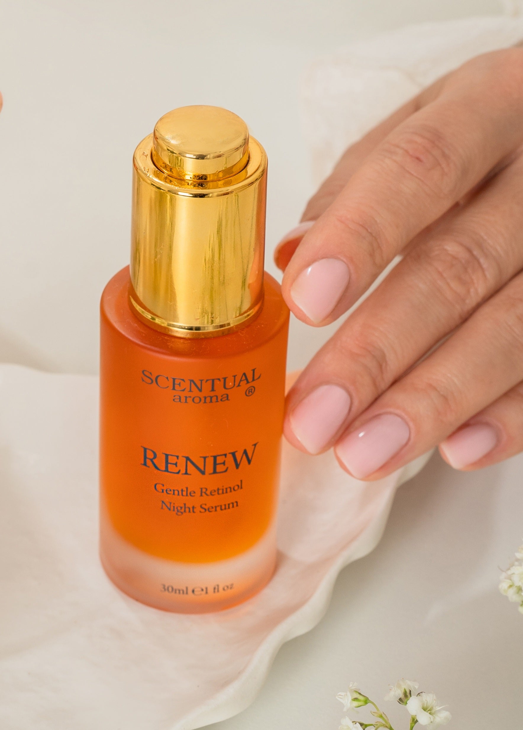 RENEW Gentle Retinol Night Serum | Plant-Based Vitamin A - Image 2